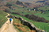 Descending the farm track from Whiteside End into Kentmere - geograph.org.uk - 1012554.jpg