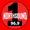 Ns1 logo.png