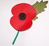 Royal British Legion's Paper Poppy - white background.jpg