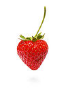 Strawberry444.jpg