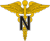 USA - Army Medical Nurse.png