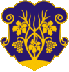 Official coat of arms of Uzhhorod.