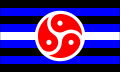 BDSM Rights Flag colour