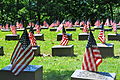 Numerous simple headstones, on top of which are soldiers' names. Each headstone is graced by an American flag.