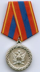 MedalVeteranOfPrisonsService.jpg
