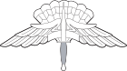USASOC Military Free Fall Parachute Badge