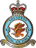 11 Squadron badge