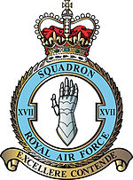 17 Squadron badge