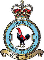 43 Squadron RAF.jpg