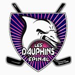 Logo Dauphins d'Epinal 2009.jpg