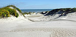 Padre Island National Seashore - sand dunes3.jpg