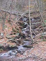 A narrow stream cascades over many rocks in a ravine and enters a larger creek at the bottom. The trees are mostly bare and fallen leaves are on the ground. Several fallen trees and limbs cross the ravine and falls.
