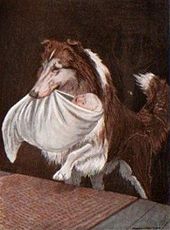 A dog carries a baby wrapped in white cloths in its mouth.