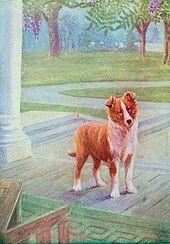 A young dog stands on a porch.  It has short hair.
