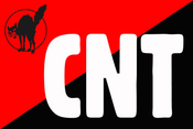 CNT black cat logo.png