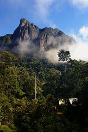 A camp is nestled in tropic rain forest, with a steep mountain peek directly behind it.