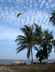 A green, white, and yellow kite in the blue sky with a beached boat and several trees in the foreground