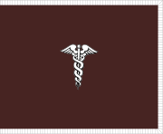 Flag of the Surgeon General of the United States Army with fringe.svg