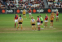 Before the bounce at the MCG.jpg