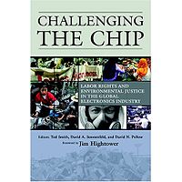 Challenging the Chip book cover.jpg