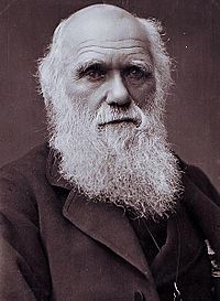 Charles Darwin photograph by Herbert Rose Barraud, 1881.jpg