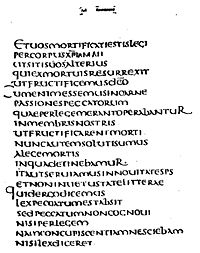 Page from Codex Clafomontanus