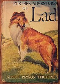 Book cover with panting sable and white rough collie, standing on a grassy slope and looking back over its shoulder