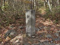 A square stone post with the letters "NY" on one face set into the ground in a wooded area
