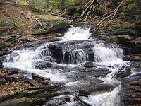  A slide falls with a large rock in the center of the stream dividing the falls to the left and right. A large flat-topped boulder is on the left bank in the center, and dead limbs reach down into the stream at top right. Fallen leaves cover many of the rocks along the stream.