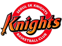 Seoul SK Knights  서울 SK 나이츠 logo