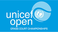 UNICEF Open Logo.jpg