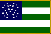 Nypd flag.png