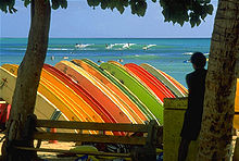 Photo of dozens of surfboards on rack. Each board is perpendicular to the ground and parallel to the other boards. Ocean in background.