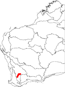 A map of the biogeographic regions of Western Australia, showing the range of Banksia cuneata. The map shows a continuous distribution in the southern half of the Avon Wheatbelt, shaped somewhat like an upright boomerang.