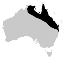 A map of Australia with the cane toad's distribution highlighted. The area follows the north-eastern coast of Australia, ranging from the Northern Territory through to the top end of New South Wales.