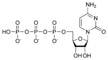 CTP chemical structure.png