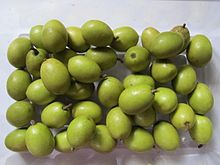 This is a photograph of some Ceylon Olive/ Veralu/ Elaeocarpus serratus fruits.