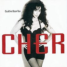 The image of a middle aged woman up to her legs. The image is in black and white. She is wearing a baby-doll dress and got a black curly wig. Below her breast, the word CHER is written in red, while top left, the words Could've Been You are written in black.