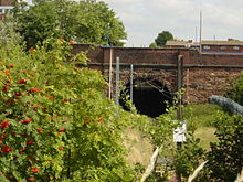 Overgrown entrance to a tunnel