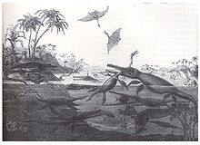 Black and white drawing of prehistoric animals and plants living in the sea and on the nearby shore; foreground figures include pterosaurs fighting in the air above the sea and an ichthyosaur biting into the long neck of a plesiosaur.