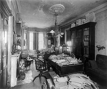 Bright sunlight coming in through windows in the background show a long narrow room with a Victorian fireplace at left, and light fittings (center) hanging from the ceiling. A desk and chair are at center, with the desk piled high with papers, books and specimen boxes. Another desk, partially seen in the foreground, is similarly cluttered, as is a third desk in the background. Two book cabinets, at right and left, are filled, and have more books piled on top of them to the ceiling. An empty sofa is at right.