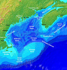 Georges Bank in the Gulf of Maine is a large elevated area of the sea floor, shown in this map as the light blue region at the bottom centre.