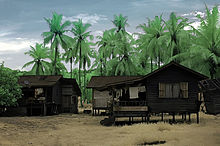 Two wooden houses on stilts stand in front of tall coconut trees.