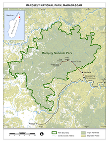 Map of showing contour lines, forest cover in two shades (virgin vs. degraded), the trail from the visitor center, and the road and nearby towns.