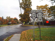 Two two-lane highways intersect in a residential area. A sign assembly to the right indicates that NY 22 northbound continues straight while NY 313 eastbound is accessed by turning right.