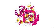 Nitric Oxide Synthase.png