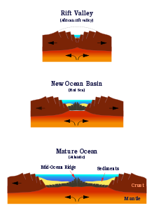 Diagram showing three stages of oceanic evolution, including rift valley, new ocean basin, and mature ocean with sediment and evolving ridge