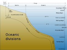 The oceanic zone is the deep open ocean water that lies off the continental slopes