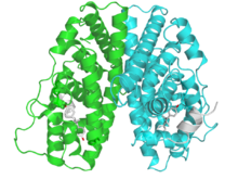 PBB Protein ESR1 image.png