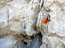  This photo shows several layers of the Touchet formation, as seen close-up. There is a geologist's hammer and a leather glove in the photo to provide perspective - they suggest the layers are about 1 meter deep. There is a vertical seam of a different material running through the horizontal layers – this is the clastic dike which was introduced by later geologic processes.